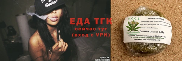 СК Аркадак