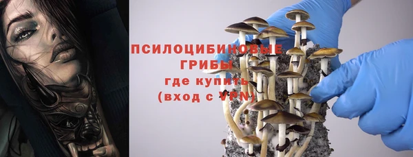 гашик Арсеньев