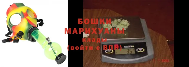 гашик Арсеньев