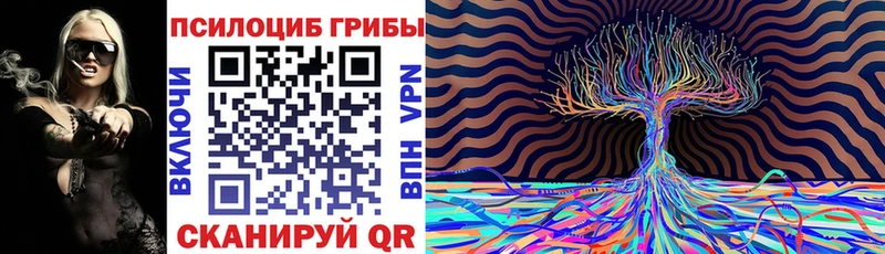 Псилоцибиновые грибы GOLDEN TEACHER  где можно купить наркотик  OMG сайт  Ступино 